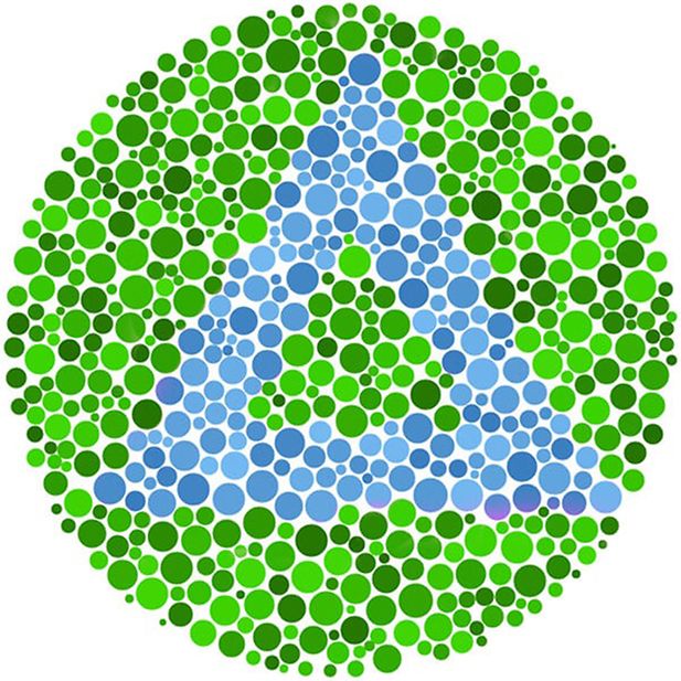 What_happens_in_a_kids'_eye_test?_row_8