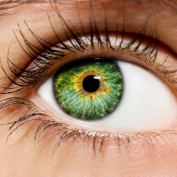 Where_does_your_eye_color_come_from?_row_3