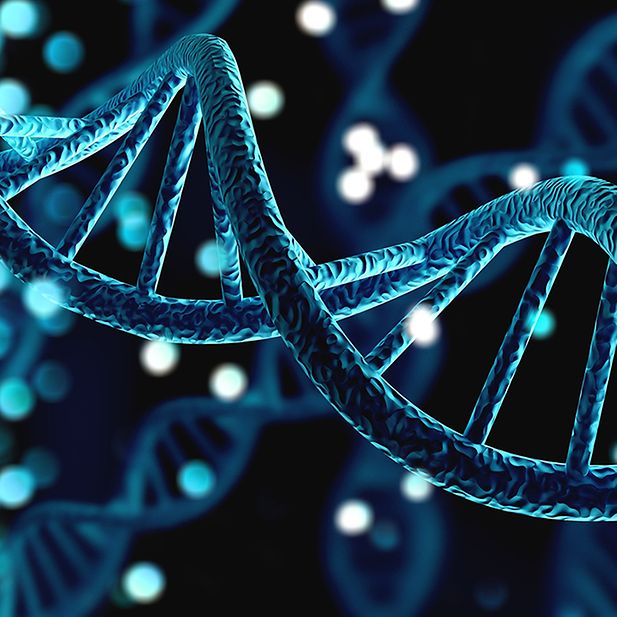 Where_does_your_eye_color_come_from?_row_5