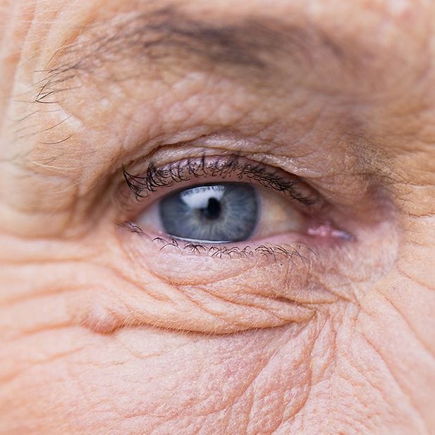 Where_does_your_eye_color_come_from?_row_7