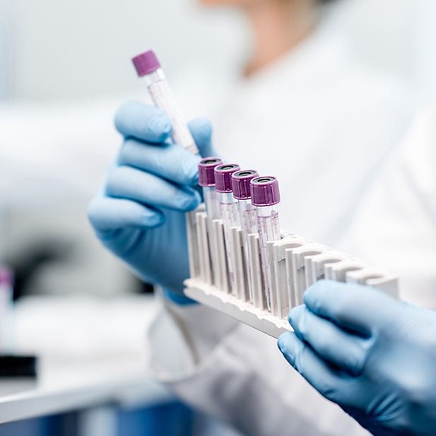 Where_does_your_eye_color_come_from?_row_6